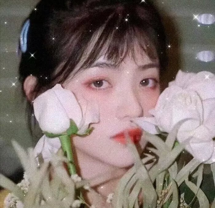 卡美娜万岁
